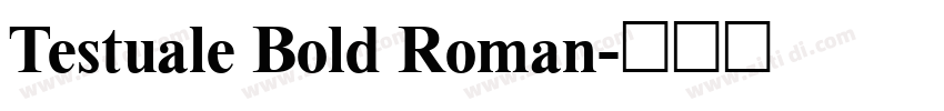Testuale Bold Roman字体转换